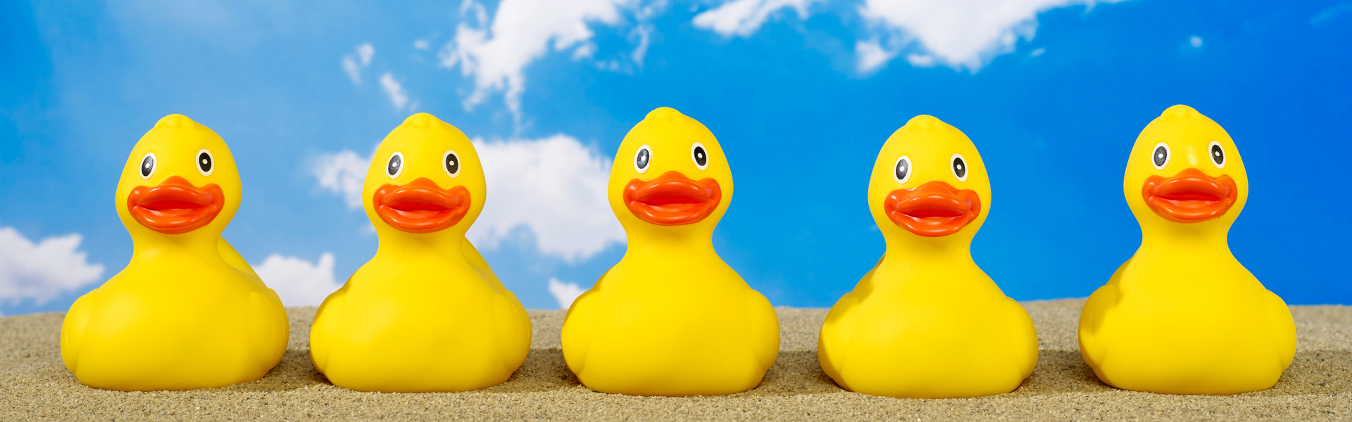 A Guide for Teachers: Getting Your Ducks in a Row