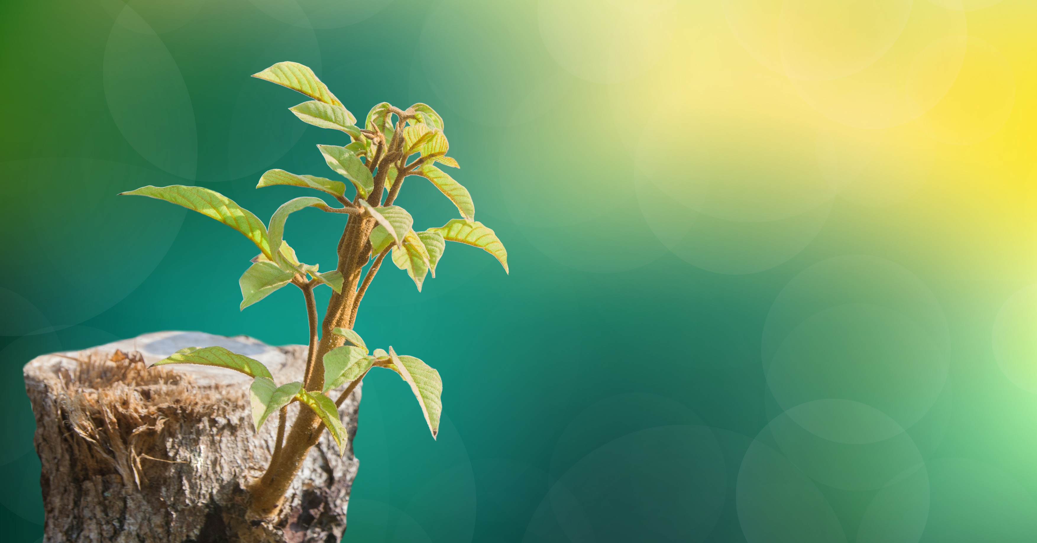 The Slow Death of School Funding: 2 Ways to Survive Through Innovating Your Recruitment Strategies